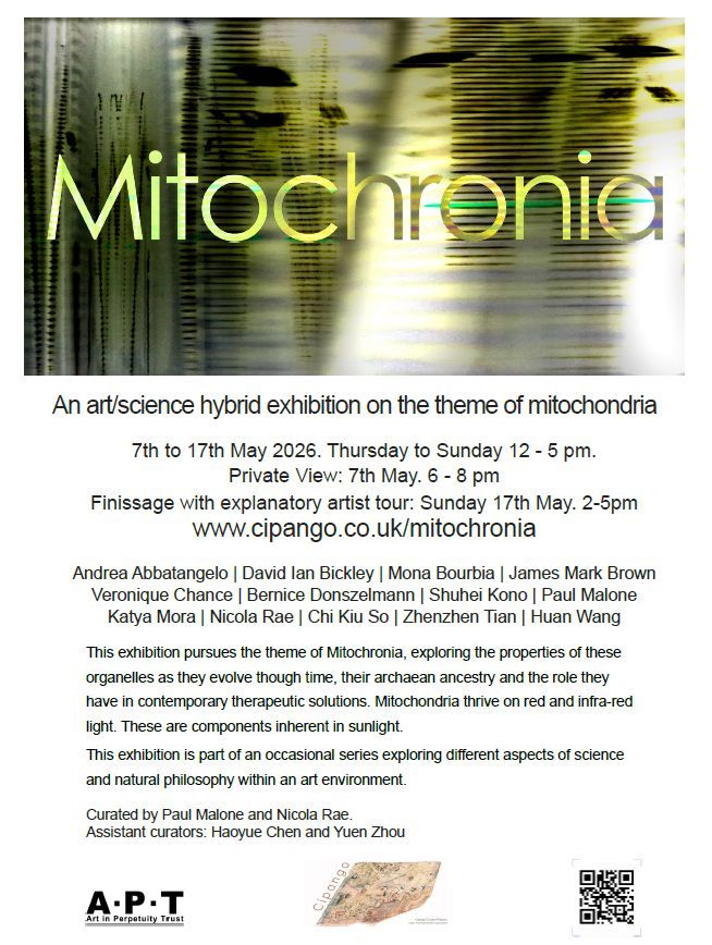 Flyer of the mitochronia exhibition At the Art in Perpetuity Trust (APT) Gallery, London
