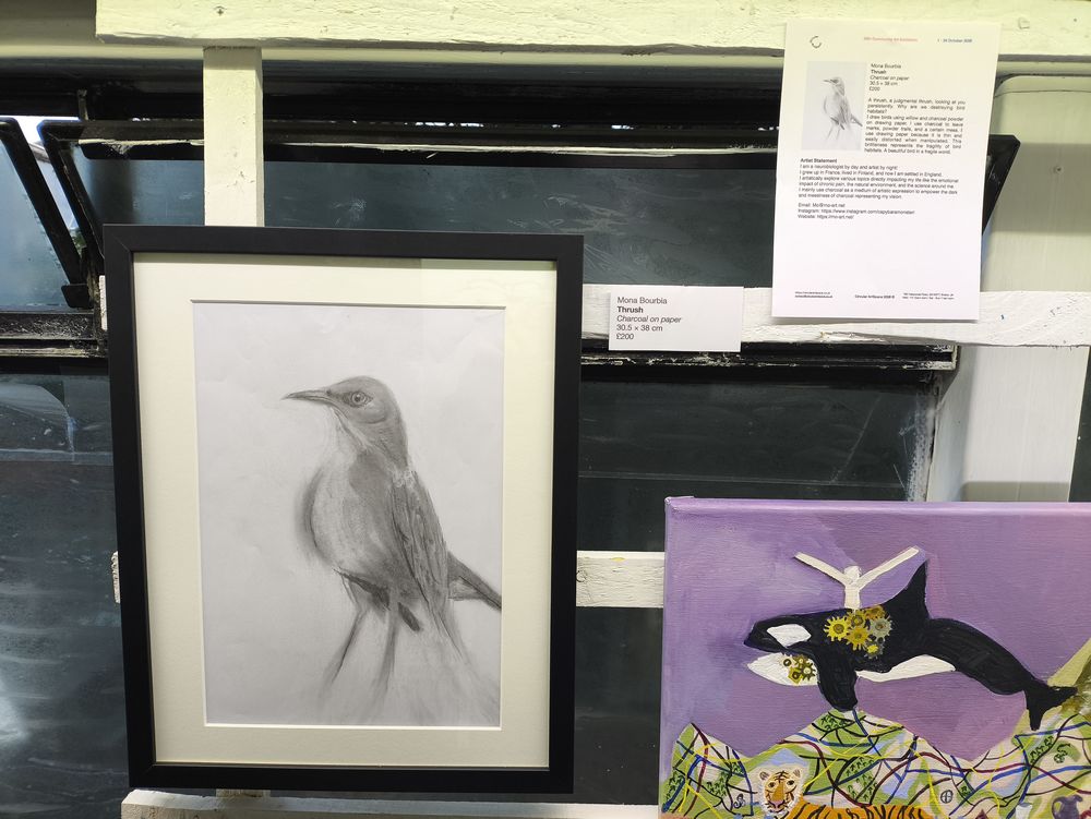 Exhibition of the artwork thrust bird made in charcoal on paper at the Bristol Circular ArtSpace.